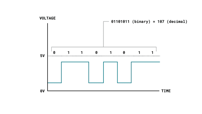 Basics of a digital signal.